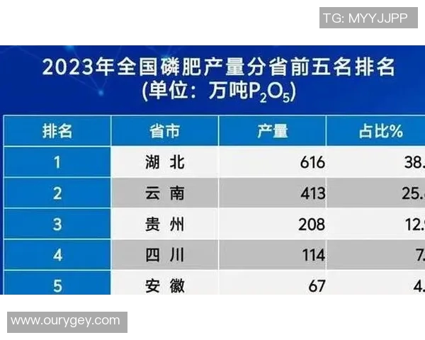 深度分析LNG市场转型策略与未来发展趋势探讨