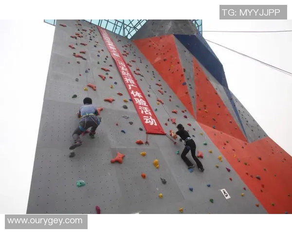 西安攀岩队区域防守分析与战术调整探讨